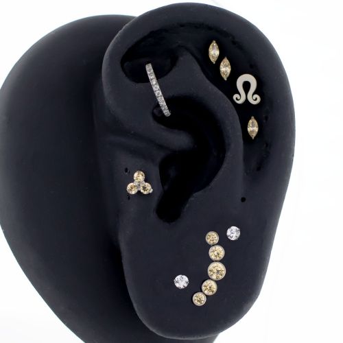 Titanium Threadless- Astrology/ Leo- Ear Curation